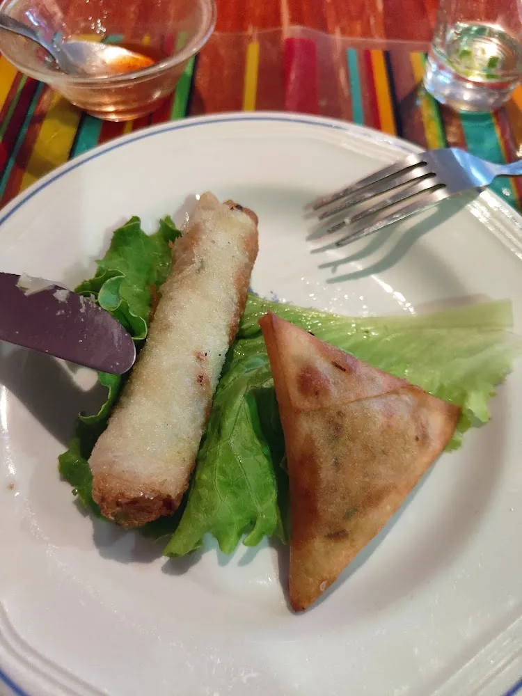 Samoussas Nems Au Poulet